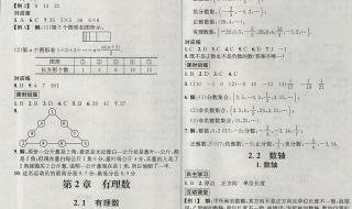 七年级上册金榜行动数学答案2021